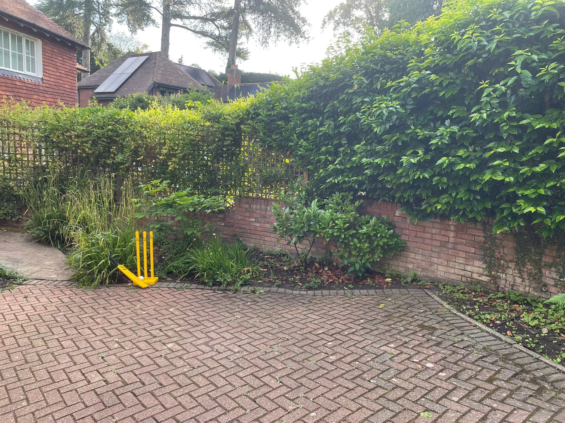 Garden border before maintenance, Gemzas Garden Maintenance and Landscaping