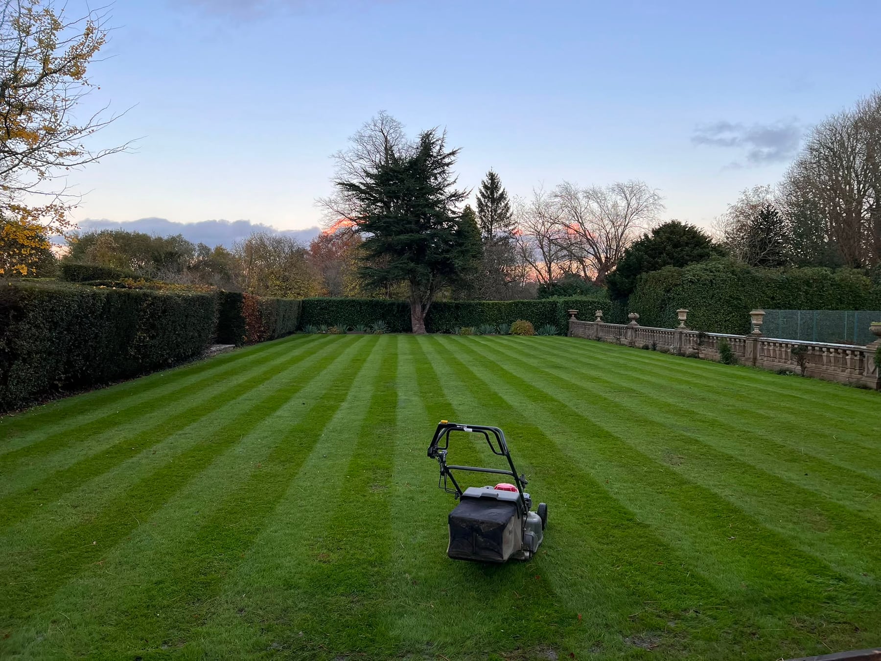 Lawn mowing stripes on a lawn cut by Gemzas Garden Maintenance and Landscaping